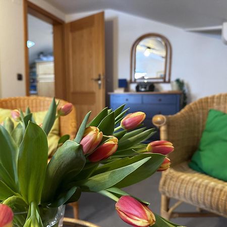 Berg & Tal Apartman Oberstaufen Kültér fotó