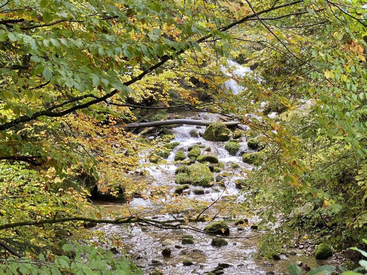 Berg & Tal Apartman Oberstaufen Kültér fotó